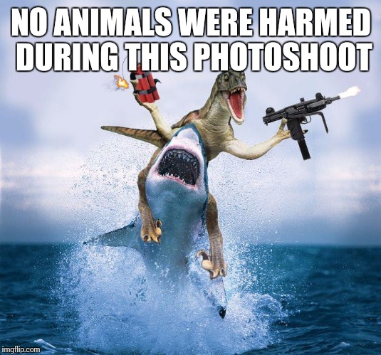 NO ANIMALS WERE HARMED DURING THIS PHOTOSHOOT | made w/ Imgflip meme maker