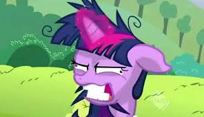 you like ponies Blank Meme Template