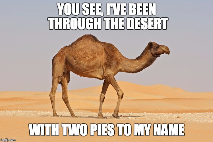 YOU SEE, I'VE BEEN THROUGH THE DESERT WITH TWO PIES TO MY NAME | made w/ Imgflip meme maker