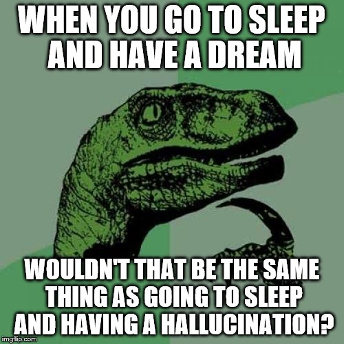 Philosoraptor Meme | WHEN YOU GO TO SLEEP AND HAVE A DREAM WOULDN'T THAT BE THE SAME THING AS GOING TO SLEEP AND HAVING A HALLUCINATION? | image tagged in memes,philosoraptor | made w/ Imgflip meme maker