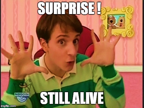 about the car crash  | SURPRISE ! STILL ALIVE | image tagged in steve,suprise | made w/ Imgflip meme maker