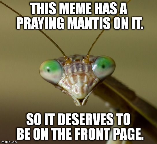 imgflip be like: | THIS MEME HAS A PRAYING MANTIS ON IT. SO IT DESERVES TO BE ON THE FRONT PAGE. | image tagged in memes,praying mantis | made w/ Imgflip meme maker