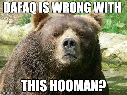 DAFAQ IS WRONG WITH THIS HOOMAN? | made w/ Imgflip meme maker