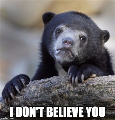 Confession Bear Meme | I DON'T BELIEVE YOU | image tagged in memes,confession bear | made w/ Imgflip meme maker