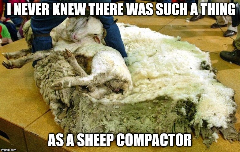 I have no idea about what's going on here... all I know is... that's one hell-of-a pile of "sheep" | I NEVER KNEW THERE WAS SUCH A THING AS A SHEEP COMPACTOR | image tagged in shrek-the-sheep cube,grossed out | made w/ Imgflip meme maker