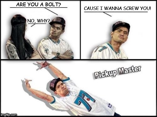 Pickup Master | ARE YOU A BOLT? NO, WHY? CAUSE I WANNA SCREW YOU! | image tagged in memes,pickup master,nsfw | made w/ Imgflip meme maker