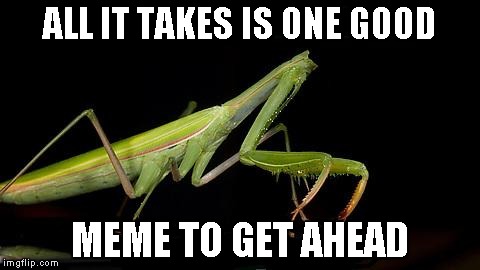 Headless Mantis | ALL IT TAKES IS ONE GOOD MEME TO GET AHEAD | image tagged in headless mantis | made w/ Imgflip meme maker