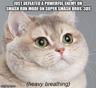 Heavy Breathing Cat | JUST DEFEATED A POWERFUL ENEMY ON SMASH RUN MODE ON SUPER SMASH BROS. 3DS | image tagged in memes,heavy breathing cat | made w/ Imgflip meme maker