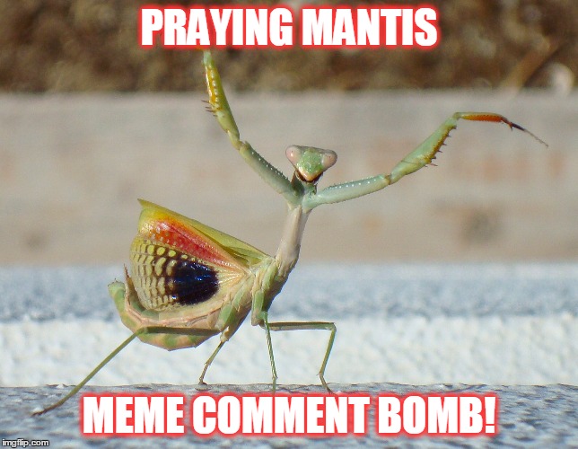 PRAYING MANTIS MEME COMMENT BOMB! | made w/ Imgflip meme maker