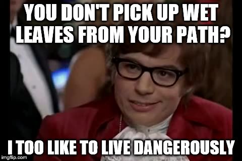 The twice daily dice with death! | YOU DON'T PICK UP WET LEAVES FROM YOUR PATH? I TOO LIKE TO LIVE DANGEROUSLY | image tagged in memes,i too like to live dangerously,leaves | made w/ Imgflip meme maker