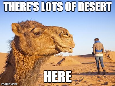 THERE'S LOTS OF DESERT HERE | made w/ Imgflip meme maker