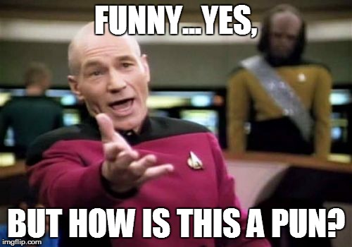 Picard Wtf Meme | FUNNY...YES, BUT HOW IS THIS A PUN? | image tagged in memes,picard wtf | made w/ Imgflip meme maker
