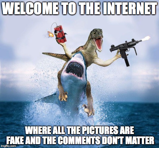 Raptor Riding Shark | WELCOME TO THE INTERNET WHERE ALL THE PICTURES ARE FAKE AND THE COMMENTS DON'T MATTER | image tagged in raptor riding shark | made w/ Imgflip meme maker