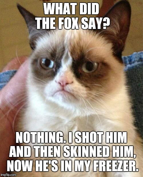 Grumpy Cat Meme | WHAT DID THE FOX SAY? NOTHING. I SHOT HIM AND THEN SKINNED HIM, NOW HE'S IN MY FREEZER. | image tagged in memes,grumpy cat | made w/ Imgflip meme maker