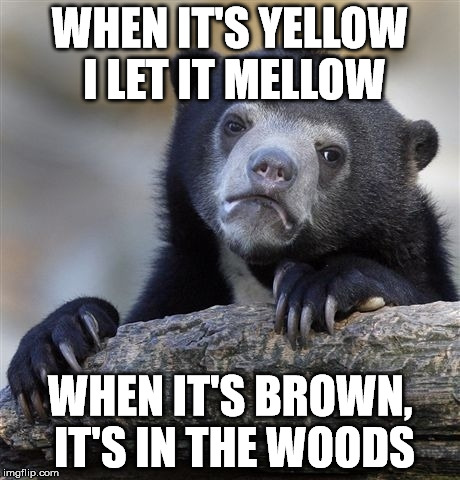 Confession Bear Meme | WHEN IT'S YELLOW I LET IT MELLOW WHEN IT'S BROWN, IT'S IN THE WOODS | image tagged in memes,confession bear | made w/ Imgflip meme maker