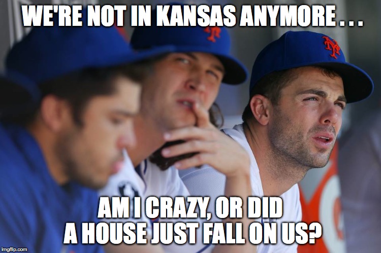 WE'RE NOT IN KANSAS ANYMORE . . . AM I CRAZY, OR DID A HOUSE JUST FALL ON US? | image tagged in kansas city royals | made w/ Imgflip meme maker