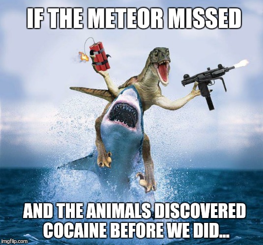 Raptor Riding Shark | IF THE METEOR MISSED AND THE ANIMALS DISCOVERED COCAINE BEFORE WE DID... | image tagged in raptor riding shark | made w/ Imgflip meme maker