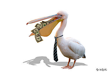 Pelican money Blank Meme Template