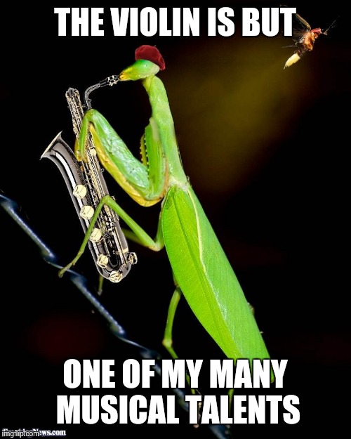 THE VIOLIN IS BUT ONE OF MY MANY MUSICAL TALENTS | image tagged in playing mantis | made w/ Imgflip meme maker