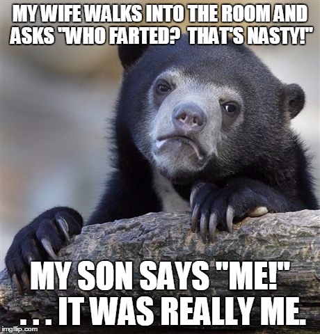 Confession Bear | MY WIFE WALKS INTO THE ROOM AND ASKS "WHO FARTED?  THAT'S NASTY!" MY SON SAYS "ME!" . . . IT WAS REALLY ME. | image tagged in memes,confession bear,AdviceAnimals | made w/ Imgflip meme maker