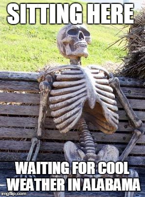 Waiting Skeleton | SITTING HERE WAITING FOR COOL WEATHER IN ALABAMA | image tagged in waiting skeleton | made w/ Imgflip meme maker