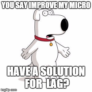 Family Guy Brian Meme | YOU SAY IMPROVE MY MICRO HAVE A SOLUTION FOR  LAG? | image tagged in memes,family guy brian | made w/ Imgflip meme maker
