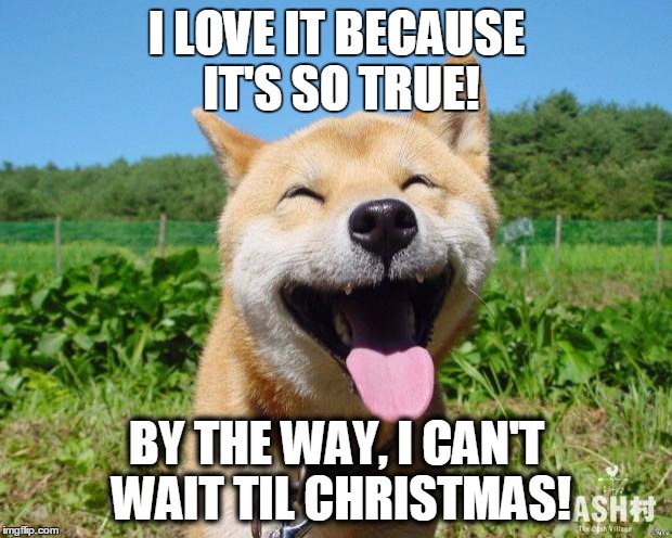 Happy Dog | I LOVE IT BECAUSE IT'S SO TRUE! BY THE WAY, I CAN'T WAIT TIL CHRISTMAS! | image tagged in happy dog | made w/ Imgflip meme maker