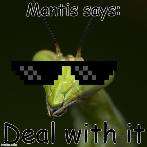Mantis says: Deal with it | made w/ Imgflip meme maker