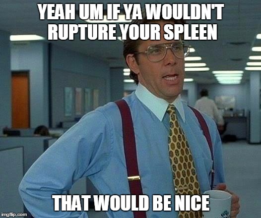 That Would Be Great Meme | YEAH UM IF YA WOULDN'T RUPTURE YOUR SPLEEN THAT WOULD BE NICE | image tagged in memes,that would be great | made w/ Imgflip meme maker