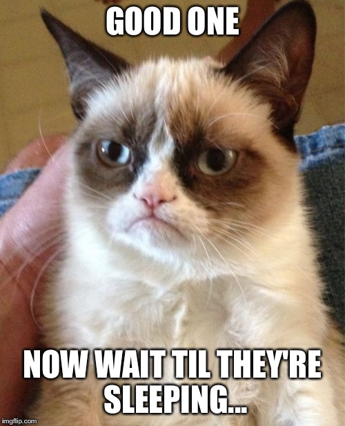 Grumpy Cat Meme | GOOD ONE NOW WAIT TIL THEY'RE SLEEPING... | image tagged in memes,grumpy cat | made w/ Imgflip meme maker