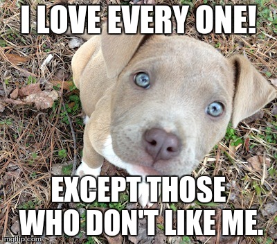 Pitbull | I LOVE EVERY ONE! EXCEPT THOSE WHO DON'T LIKE ME. | image tagged in pitbull | made w/ Imgflip meme maker