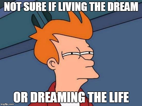 Futurama Fry - Living the Dream | NOT SURE IF LIVING THE DREAM OR DREAMING THE LIFE | image tagged in memes,futurama fry,living the dream | made w/ Imgflip meme maker