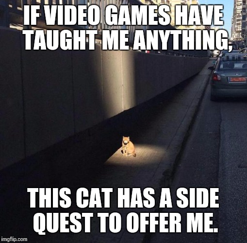 Image tagged in cats,video games,funny,adventure - Imgflip
