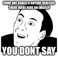 You dont say | SOME ONE ASKED IF ANYONE REALIZED THERE WERE KIDS ON IMGFLIP YOU DONT SAY | image tagged in you dont say,imgflip | made w/ Imgflip meme maker
