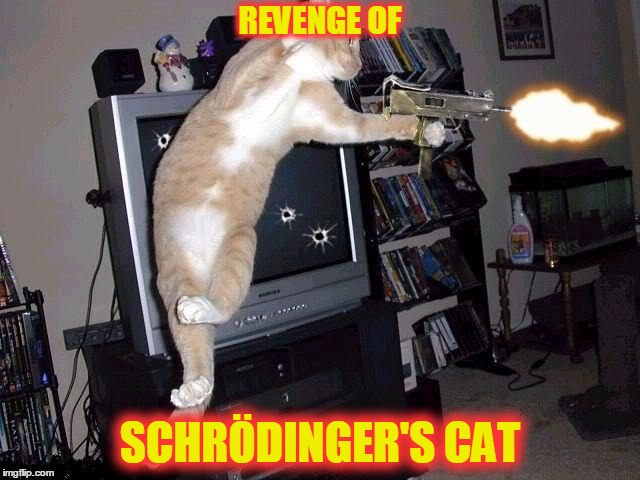 REVENGE OF SCHRÖDINGER'S CAT | made w/ Imgflip meme maker