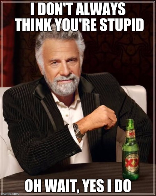 The Most Interesting Man In The World Meme | I DON'T ALWAYS THINK YOU'RE STUPID OH WAIT, YES I DO | image tagged in memes,the most interesting man in the world | made w/ Imgflip meme maker