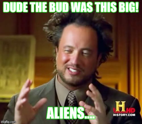 Ancient Aliens | DUDE THE BUD WAS THIS BIG! ALIENS.... | image tagged in memes,ancient aliens | made w/ Imgflip meme maker