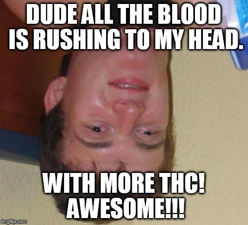 10 Guy Meme | DUDE ALL THE BLOOD IS RUSHING TO MY HEAD. WITH MORE THC! AWESOME!!! | image tagged in memes,10 guy | made w/ Imgflip meme maker