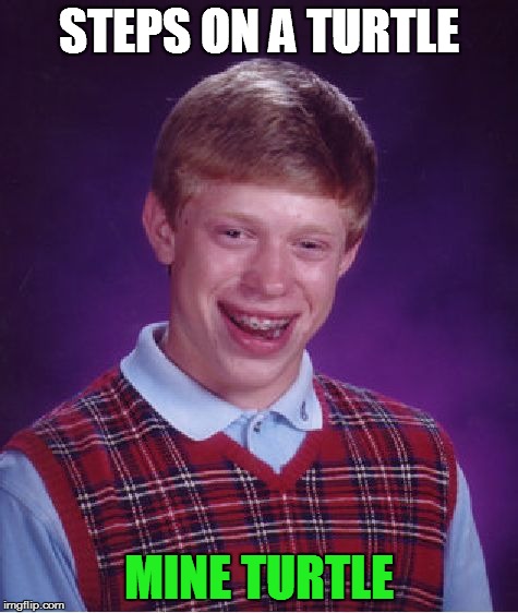 Bad Luck Brian | STEPS ON A TURTLE MINE TURTLE | image tagged in memes,bad luck brian | made w/ Imgflip meme maker
