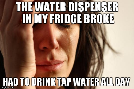 First World Problems | THE WATER DISPENSER IN MY FRIDGE BROKE HAD TO DRINK TAP WATER ALL DAY | image tagged in memes,first world problems | made w/ Imgflip meme maker