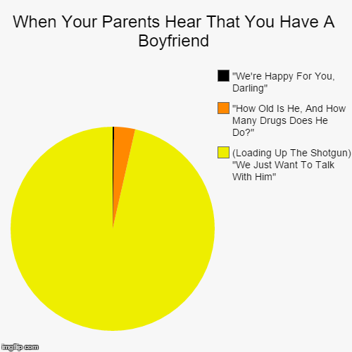 Boyfriend Troubles | image tagged in funny,pie charts | made w/ Imgflip chart maker