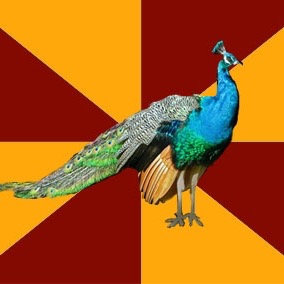 Thespian peacock Blank Meme Template