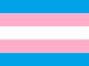 trans pride flag Blank Meme Template