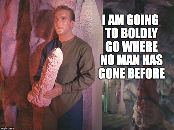 boldly going | I AM GOING TO BOLDLY GO WHERE NO MAN HAS GONE BEFORE | image tagged in star trek | made w/ Imgflip meme maker