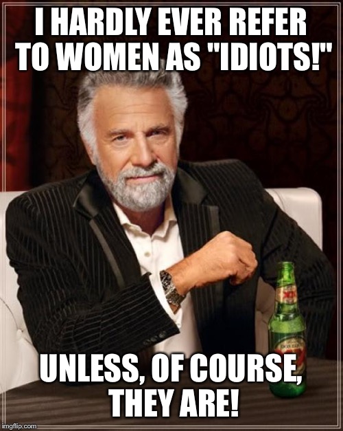 The Most Interesting Man In The World | I HARDLY EVER REFER TO WOMEN AS "IDIOTS!" UNLESS, OF COURSE, THEY ARE! | image tagged in memes,the most interesting man in the world | made w/ Imgflip meme maker