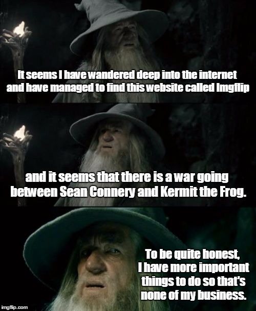 Gandalf Wants To Pick A Side | It seems I have wandered deep into the internet and have managed to find this website called Imgflip and it seems that there is a war going  | image tagged in memes,confused gandalf,kermit vs connery | made w/ Imgflip meme maker