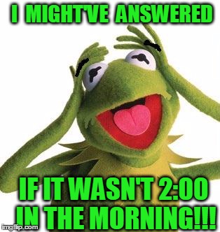 I  MIGHT'VE  ANSWERED IF IT WASN'T 2:00 IN THE MORNING!!! | image tagged in scared kermit | made w/ Imgflip meme maker