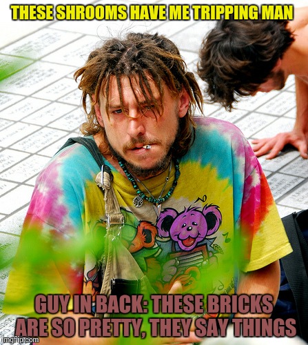 Stoner PhD | THESE SHROOMS HAVE ME TRIPPING MAN GUY IN BACK: THESE BRICKS ARE SO PRETTY, THEY SAY THINGS | image tagged in memes,stoner phd | made w/ Imgflip meme maker