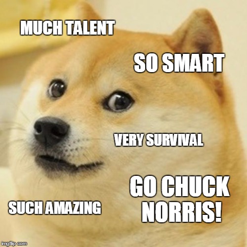 Doge Meme | MUCH TALENT SO SMART VERY SURVIVAL SUCH AMAZING GO CHUCK NORRIS! | image tagged in memes,doge | made w/ Imgflip meme maker
