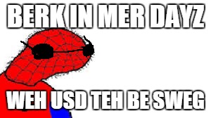 BERK IN MER DAYZ WEH USD TEH BE SWEG | image tagged in sweg | made w/ Imgflip meme maker